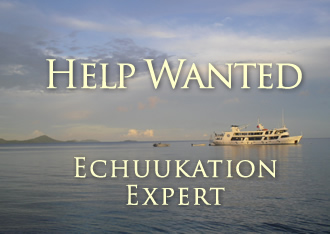 Help Wanted: Education Expert for Chuuk